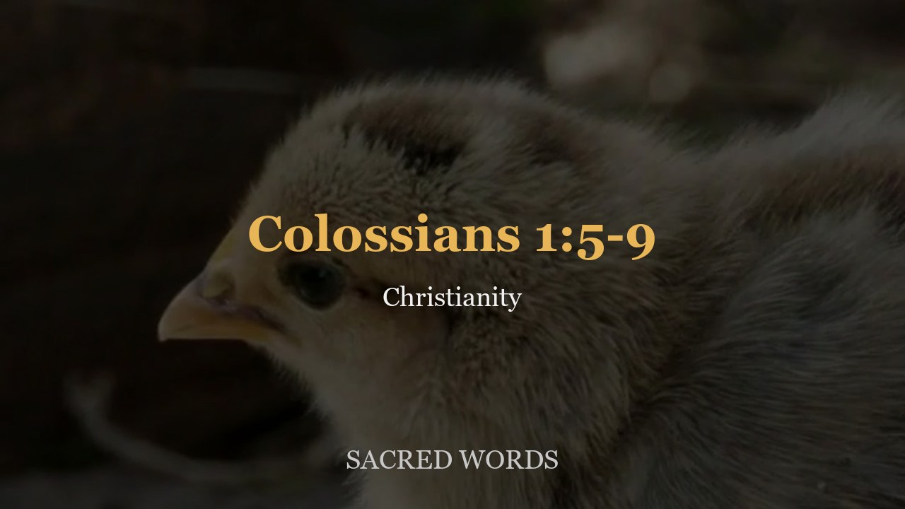 Colossians 1:5-9